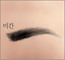 2025ͳݱ