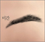 2025ͳݱ