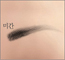 2025ͳݱ