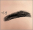 2025ͳݱ