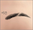 2025ͳݱ