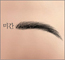 2025ͳݱ