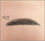 2025ͳݱ